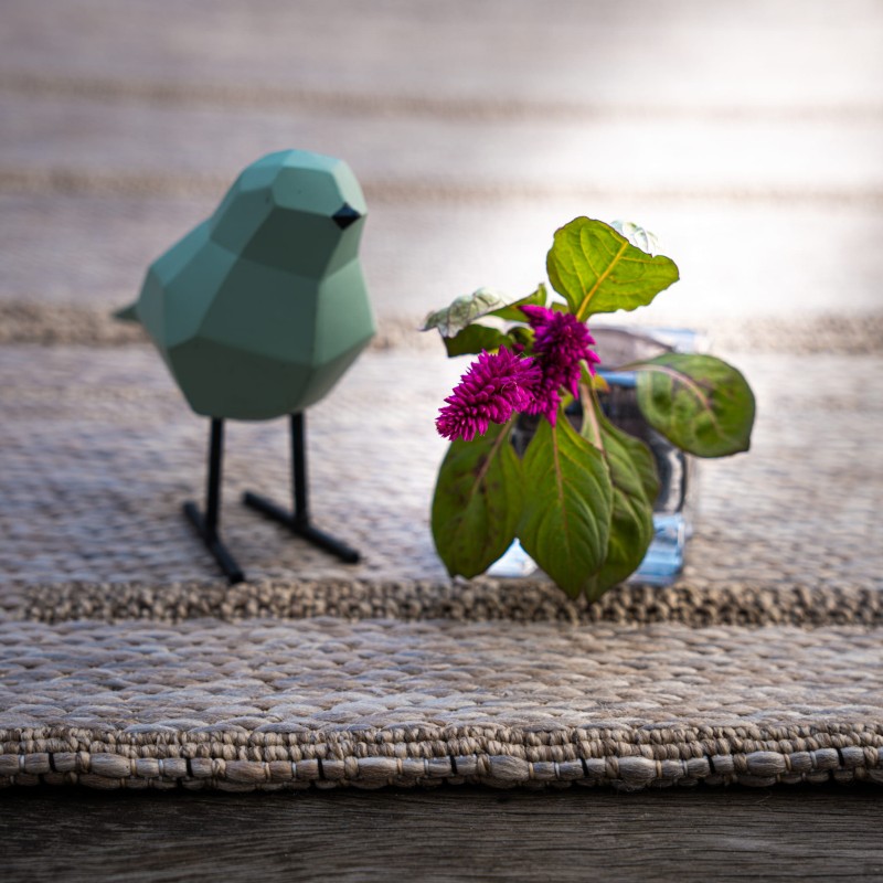 Runo dywanu zewnętrznego Obsession My Oslo OSL706 taupe