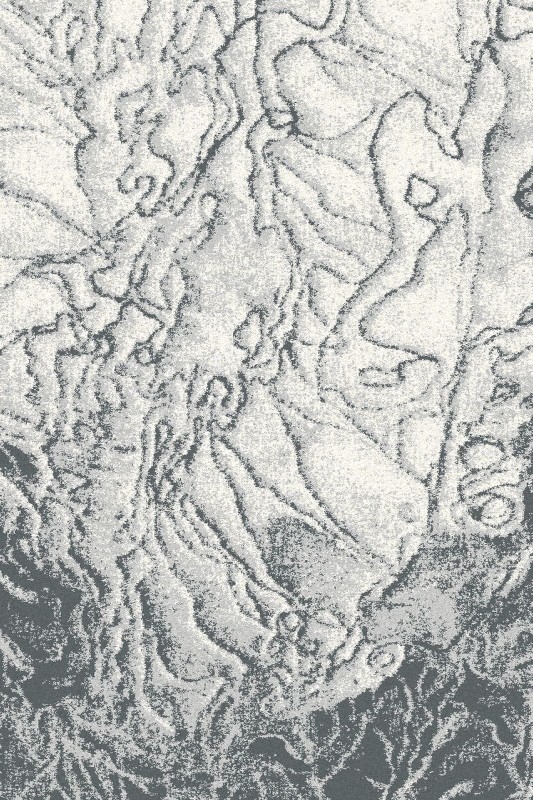 dywan-fd-avanti-tresko-szary-dywanywitek