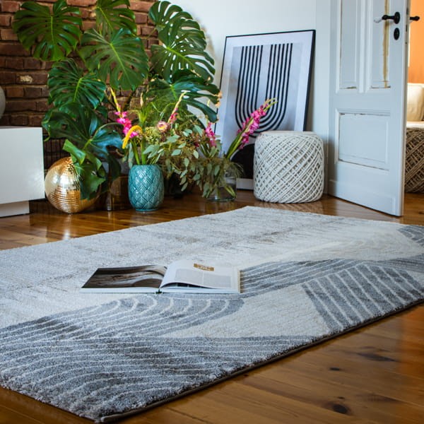 Dywan Obsession Canyon CAY975 taupe w salonie