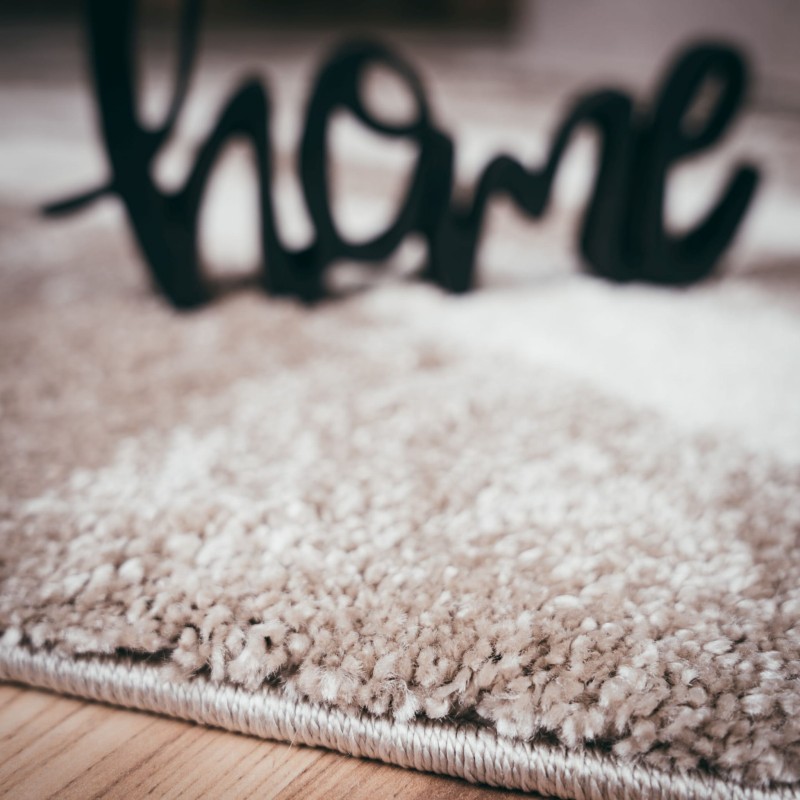 Runo dywanu Obsession Frisco FRI283 taupe