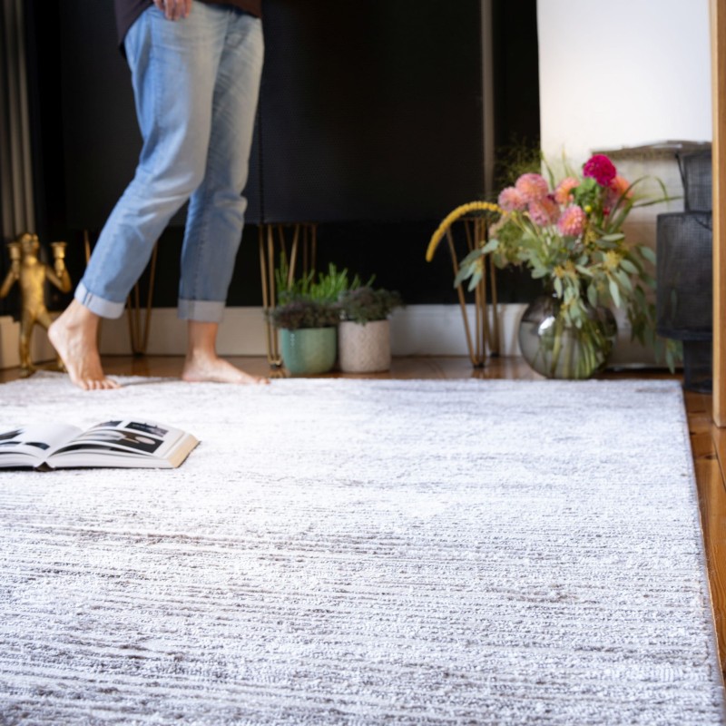 Dywan Obsession Nevada NEV343 taupe w pokoju