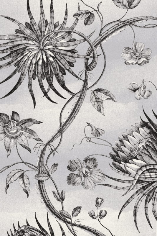 Dywan Agnella Calisia TALWIN JASNY SZARY V&A _dywanywitek_pl_