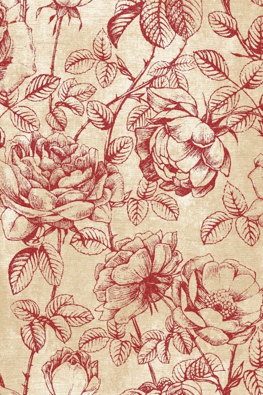 Dywan Agnella Isfahan RHODE BORDOWY wełniany _dywanywitek_pl_