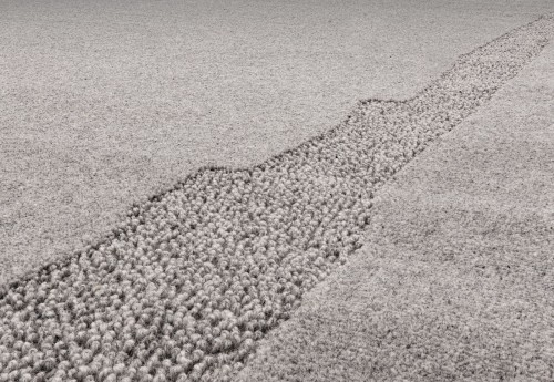 Dywan szary wełniany Agnella Ladnini Morphic Rocca - runo 3d