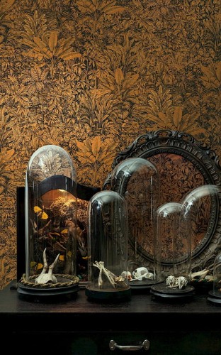 Dekoracje na tle tapety Khroma Cabinet CAB304 Sauvage Mandarin.jpg