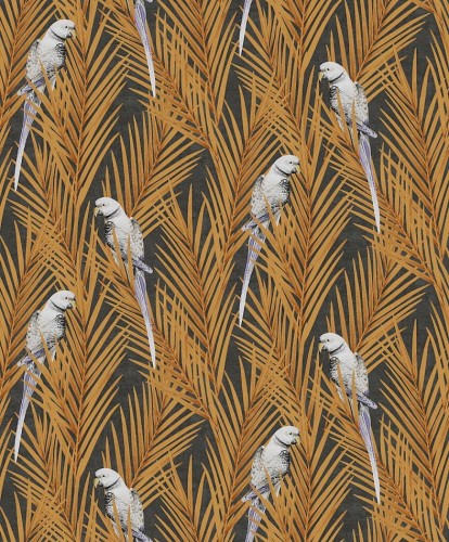 Tapeta z papugami Khroma Cabinet CAB704 Eden Mandarin.jpg