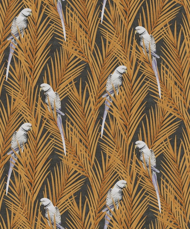 Tapeta z papugami Khroma Cabinet CAB704 Eden Mandarin.jpg