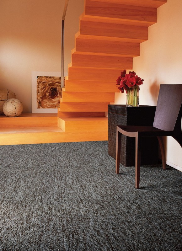 34d0450b2d81a23b9a1388b01dfdc18f