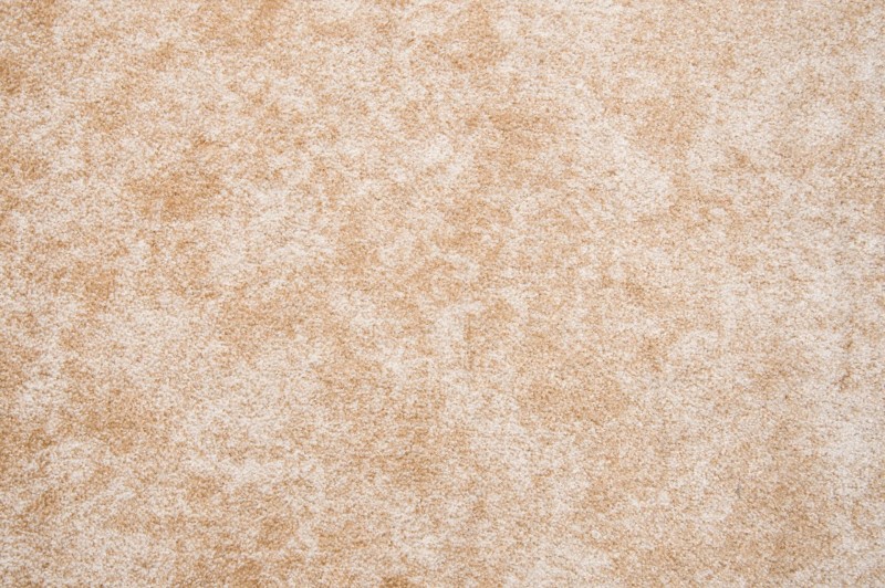 53d83e700ac98389b777927a918fc4f5