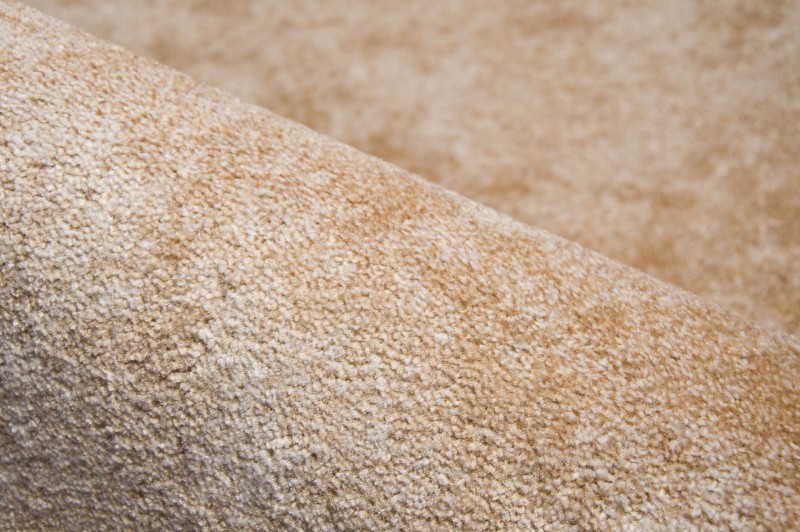 218b85d740606002865caa289cd9dce2