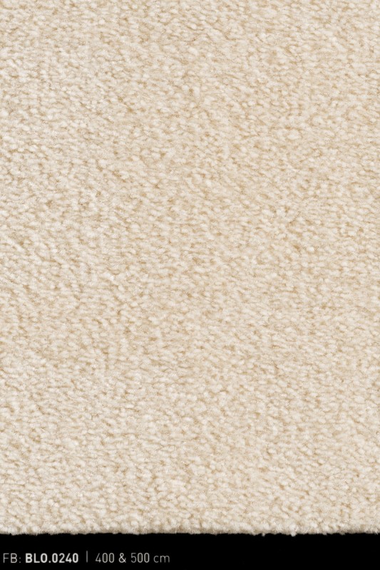 501a2ad2ed33e269566dcc7c1b3a0089