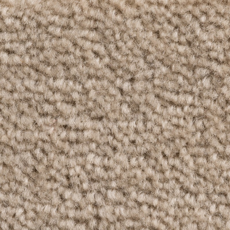 Wykładzina obiektowa wełniana Creatuft Sheba 1048