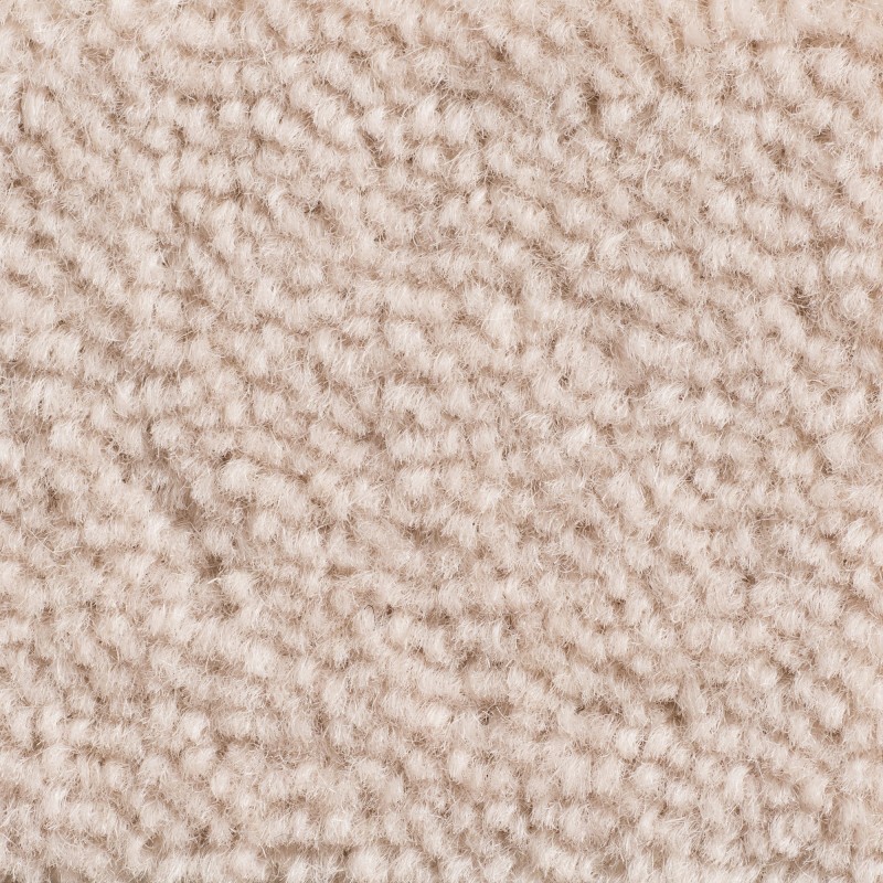 Wykładzina obiektowa wełniana Creatuft Sheba 1184