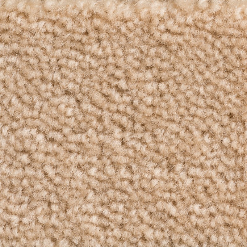 Wykładzina obiektowa wełniana Creatuft Sheba 1761