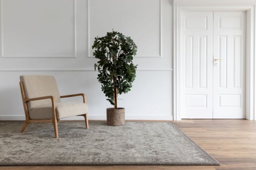 Salon z krzesłem na dywanie z Agnelli Ballata Paxton szary