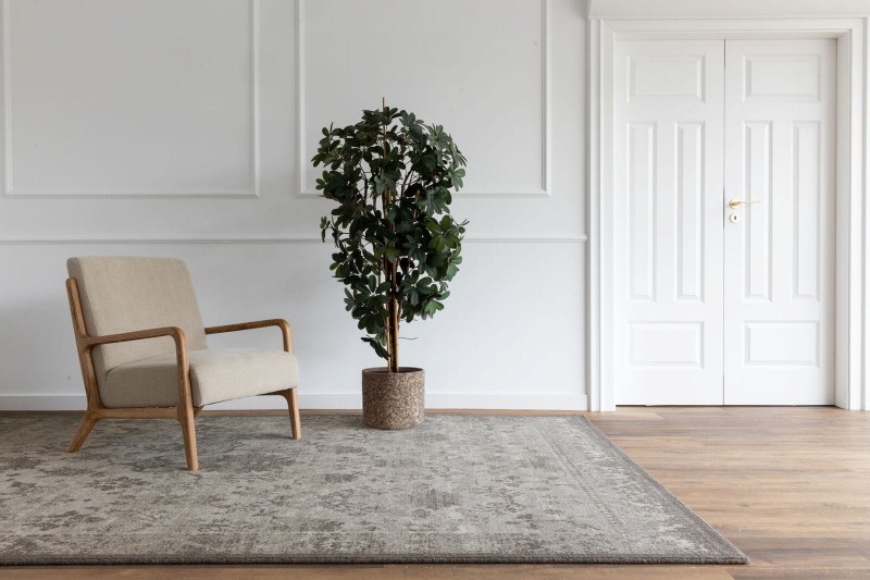 Salon z krzesłem na dywanie z Agnelli Ballata Paxton szary