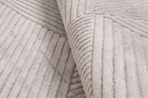 Runo szarego dywanu nowoczesnego Lily D858AG