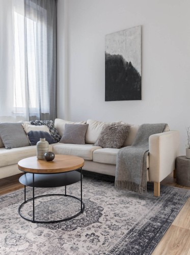 Dywan wełniany Agnella Isfahan Okutan szary w salonie