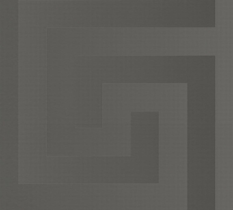 Tapeta Versace szara V 38609-1.jpg