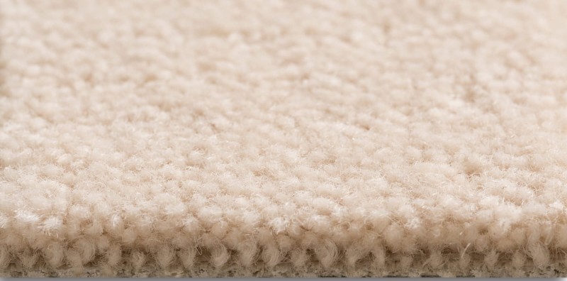 Wykładzina obiektowa wełniana Creatuft Sheba 1004 runo