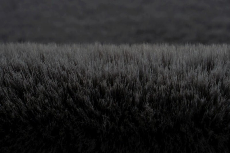 Runo dywanu Lalee Hides Heaven HEA 800 graphite