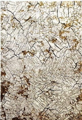 Dywan nowoczesny Miami Plus 0300 beżowy