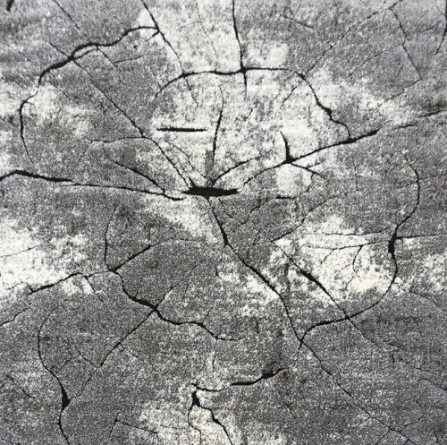 Dywan nowoczesny kwadratowy Miami 129 grey