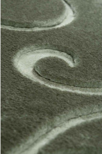 Zbliżenie runa zielonego dywanu pluszowego Alaska liście