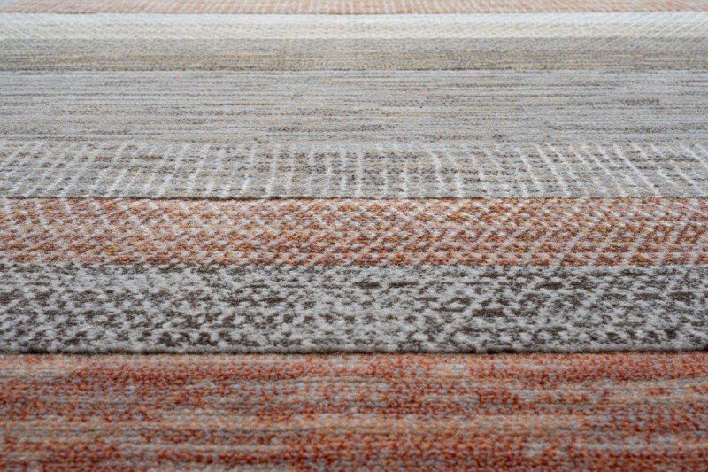 Wzór dywanu Ragolle Argentum 63844-9248