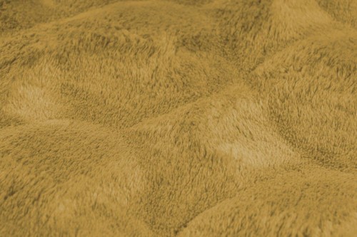 Runo miodowego dywanu dywanu pluszowego Obsession Diamond Cut DMC 800