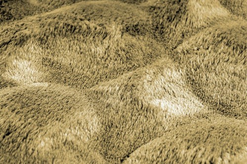 Runo okrągłego miodowego dywanu pluszowego Obsession Diamond Cut DMC 800