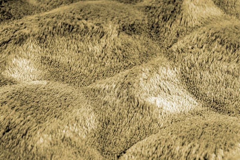 Runo okrągłego miodowego dywanu pluszowego Obsession Diamond Cut DMC 800