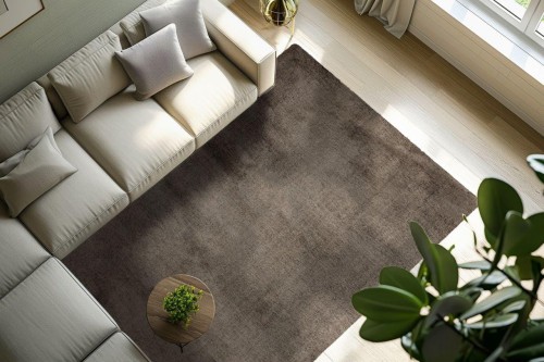 Dywan pluszowy Obsession Eternity ETY 500 walnut w salonie