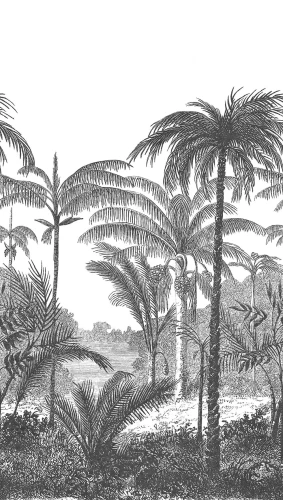 Tapeta czarno-biała mural dżungla Grandeco Orom 2 A58201.webp