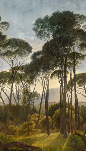 Tapeta las mural Grandeco Orom 2 A46301.webp