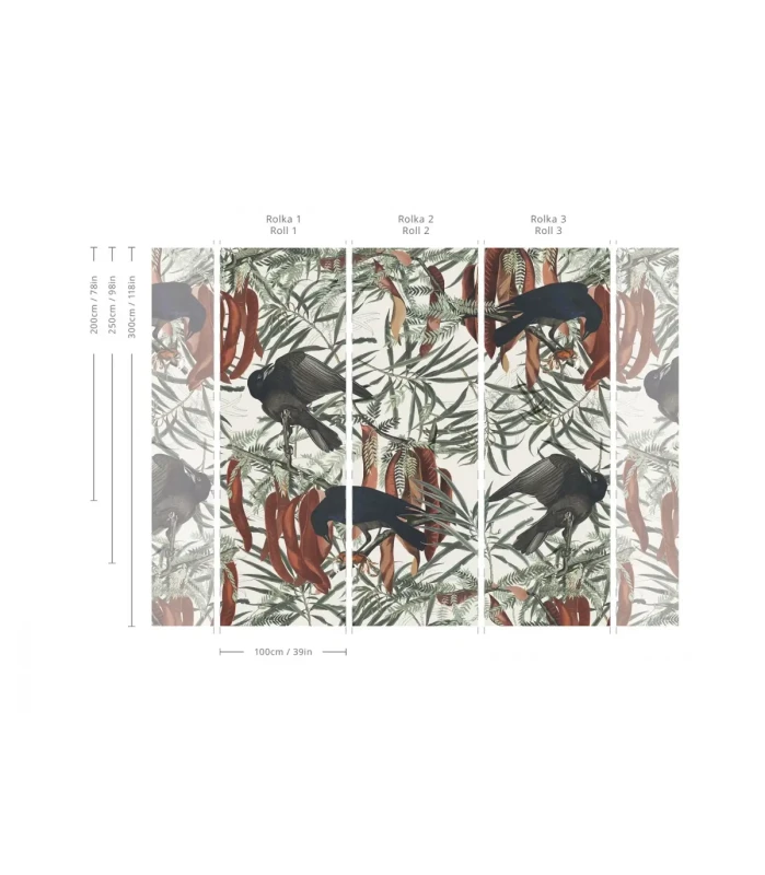 Wymiary tapety Crows Wallcolors.webp
