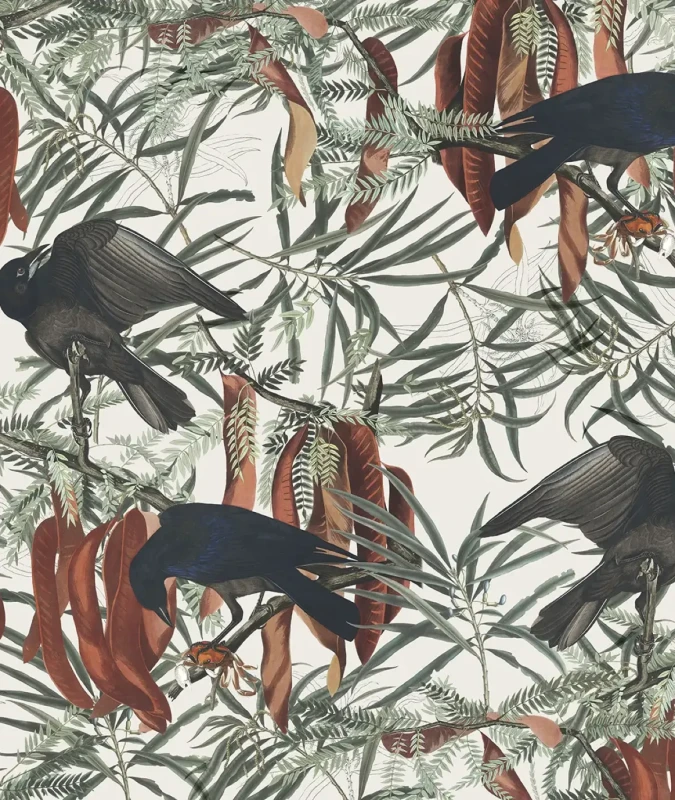 Tapeta Crows Wallcolors.webp
