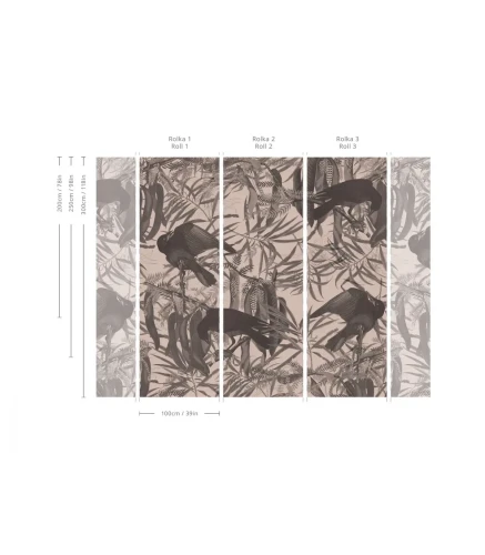 Wymiary tapety Crows Beige Wallcolors.webp