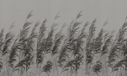 Wizualizacja tapety muralu Cane Wallcolors.webp