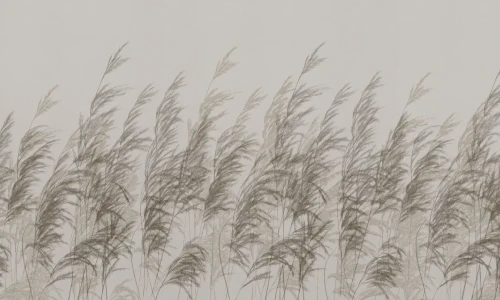 Wizualizacja tapety muralu Cane beige.webp