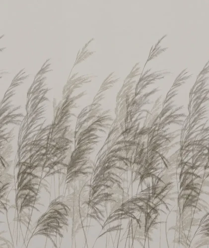 Tapeta Cane beige Wallcolors