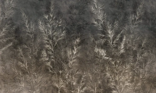 Wizualizacja tapety muralu Dry Grass Wallcolors.webp