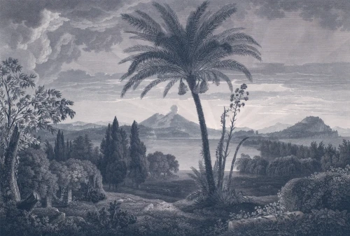 Wizualizacja muralu Tropical Volcano Vista blue.webp