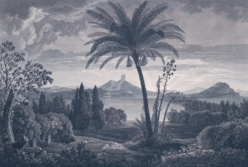 Wizualizacja muralu Tropical Volcano Vista blue.webp