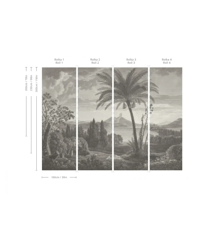 Wymiary tapety muralu Tropical Volcano Vista.webp