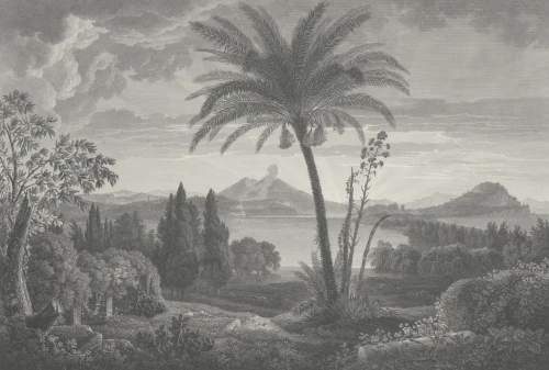 Wizualizacja muralu Tropical Volcano Vista.webp