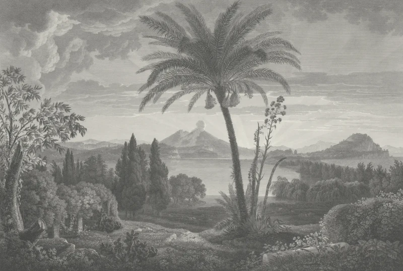 Wizualizacja muralu Tropical Volcano Vista.webp