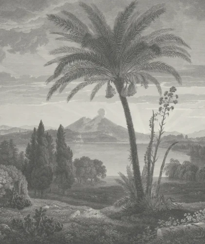 Tapeta Tropical Volcano Vista.webp