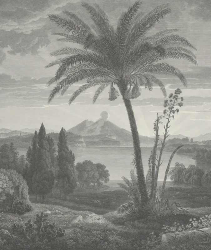 Tapeta Tropical Volcano Vista.webp
