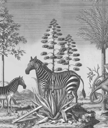 Dekoracyjna tapeta Dzikie zwierzęta Zebra on Agave.webp